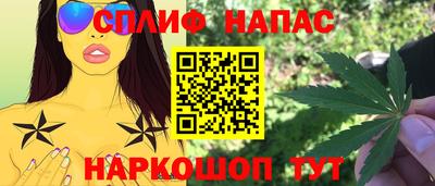 прущие грибы Краснокаменск