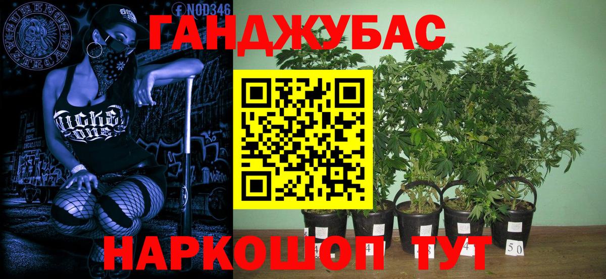 Канабис ГИДРОПОН Златоуст